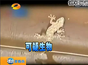 萬能的朋友圈，如果你能解釋通這組圖；凈水設(shè)備就可以不要了